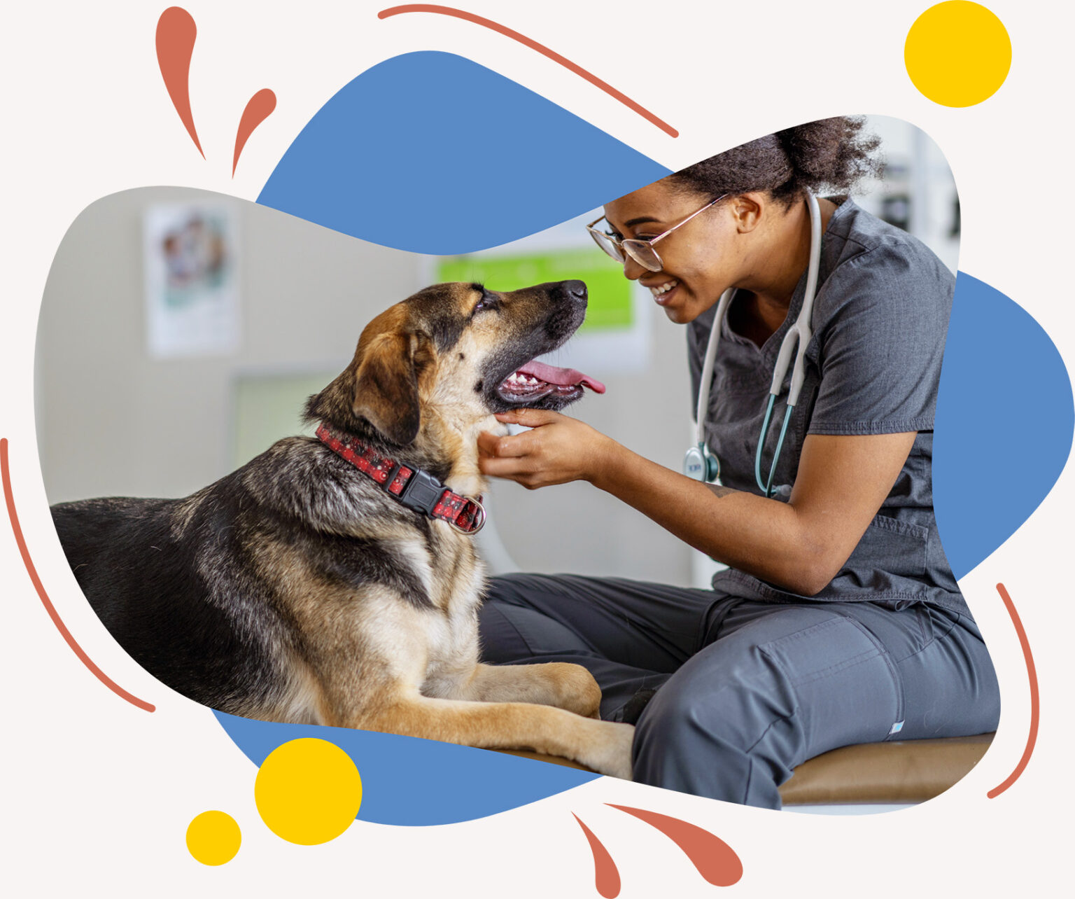 Our Story Vet Linens